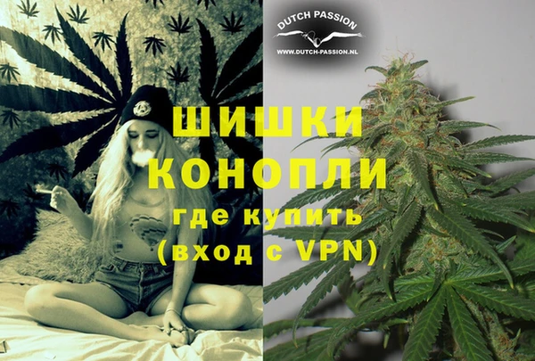 дживик Магас