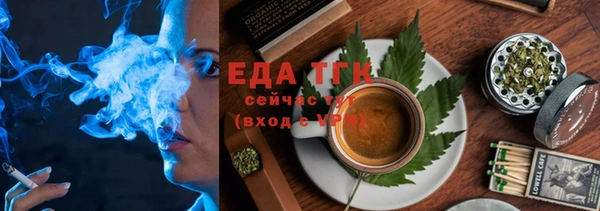гашик Тихвин