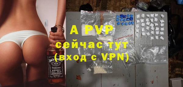 дживик Магас