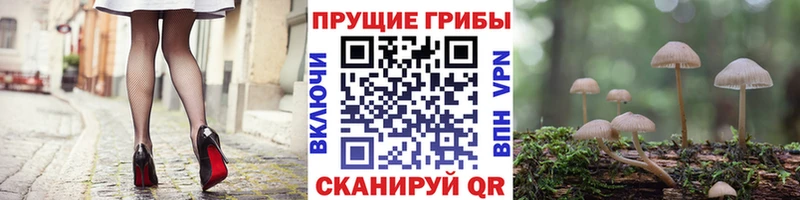 Галлюциногенные грибы GOLDEN TEACHER Симферополь